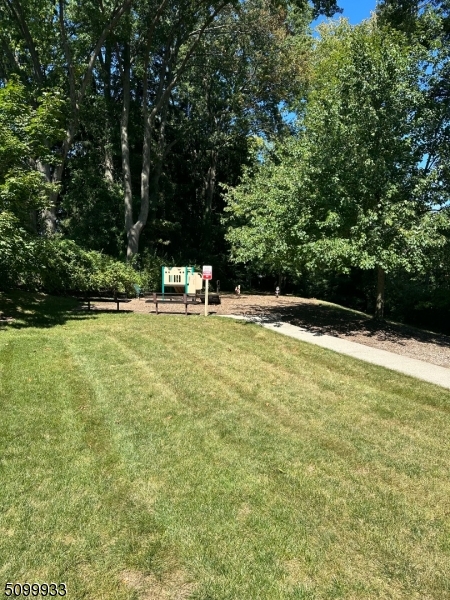 image 16
