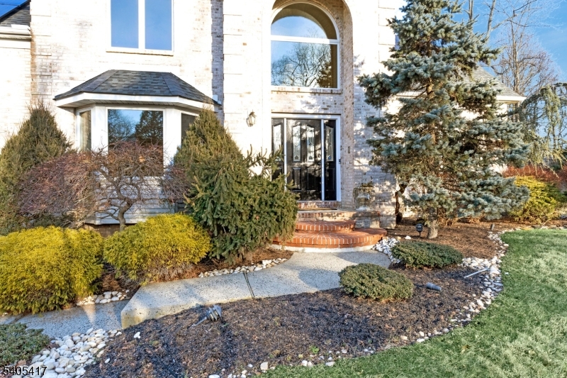 image5