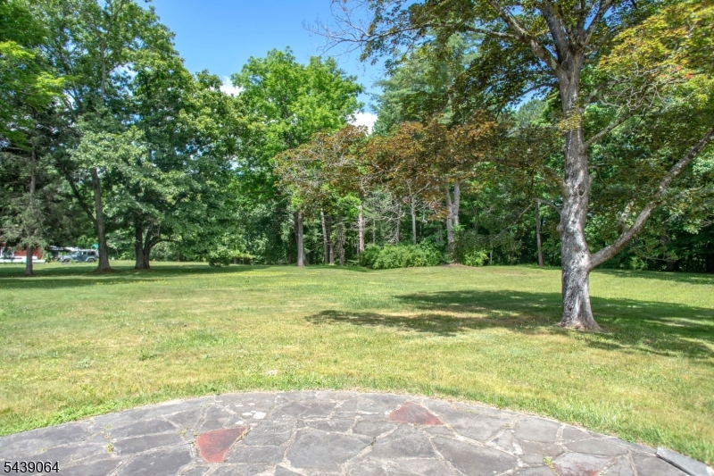 image10