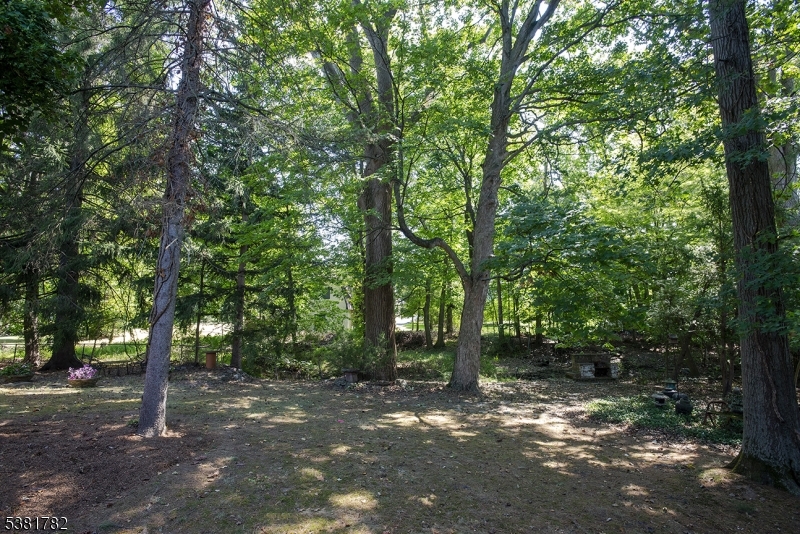 image35