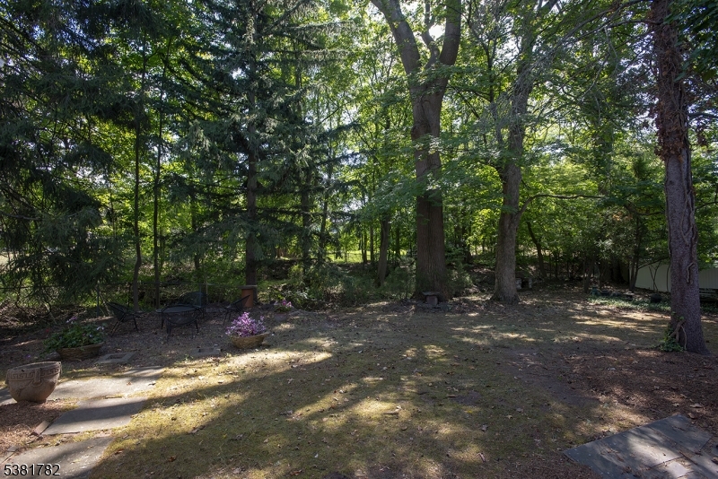 image36