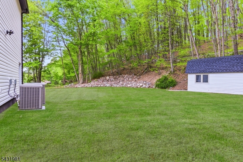 image 46