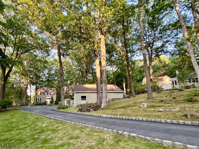 image7