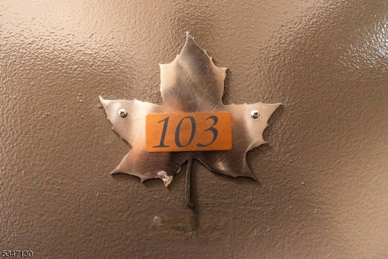 image8