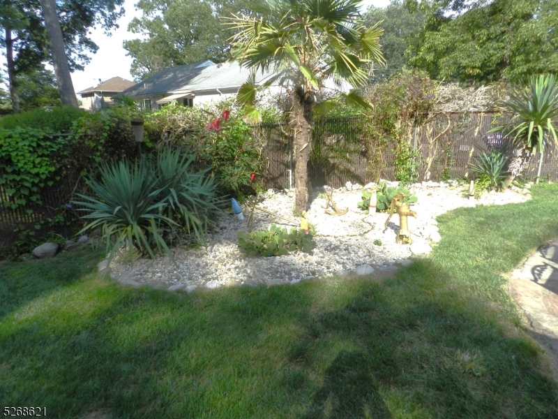 image 25