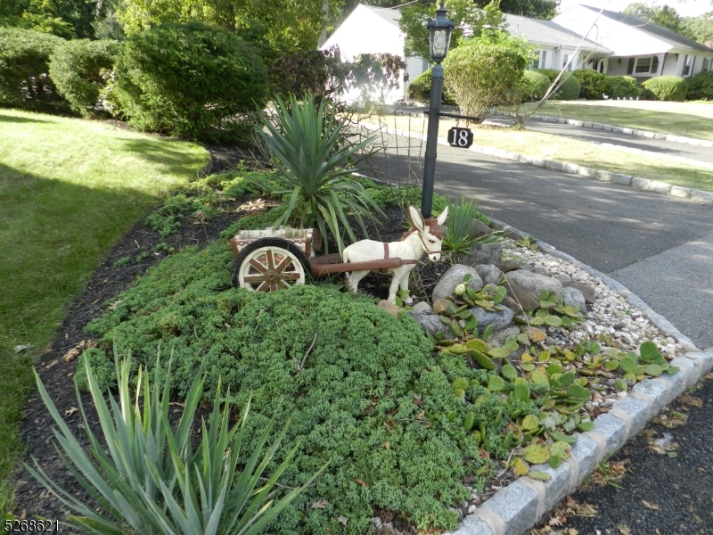 image 42