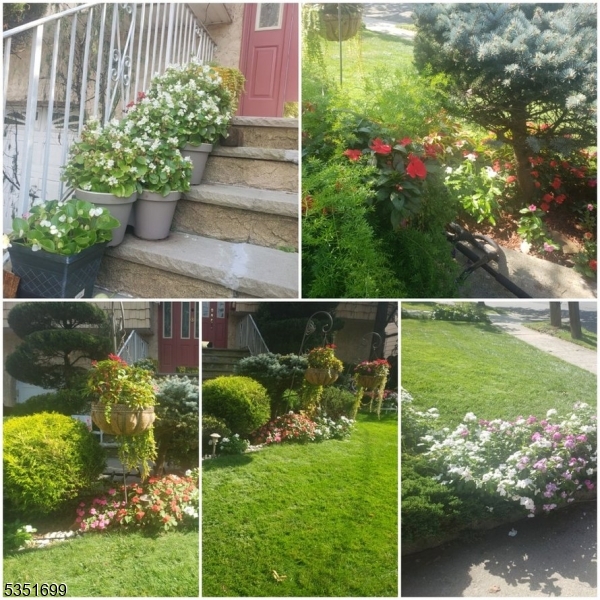 image14