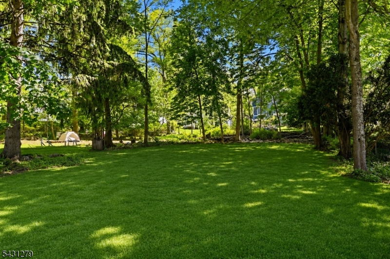 image38