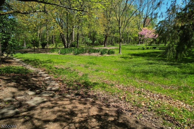 image45
