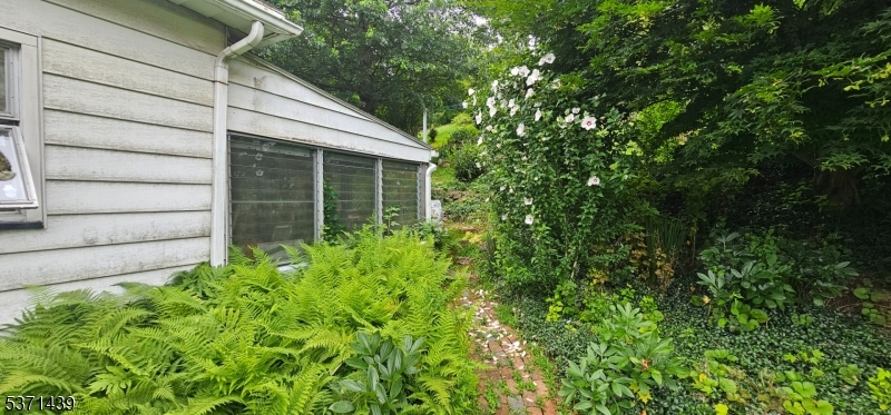 image 40