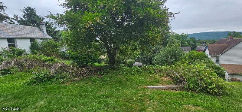 image 41