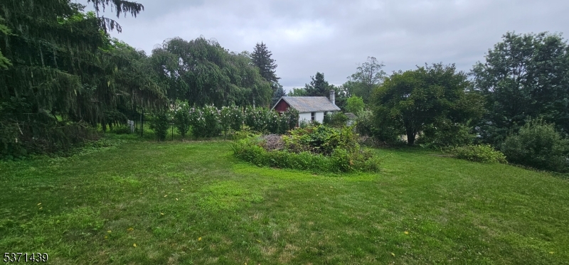 image 42
