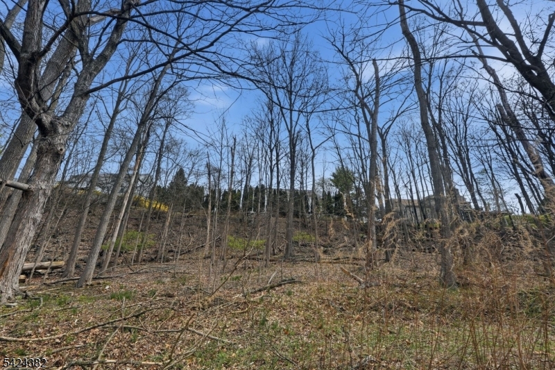 image 23
