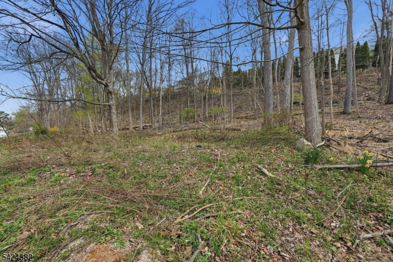 image 34