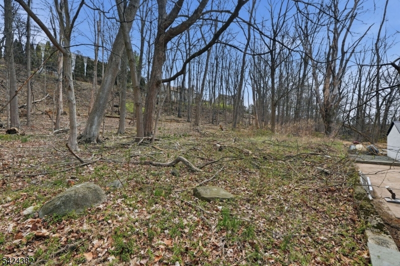 image 35