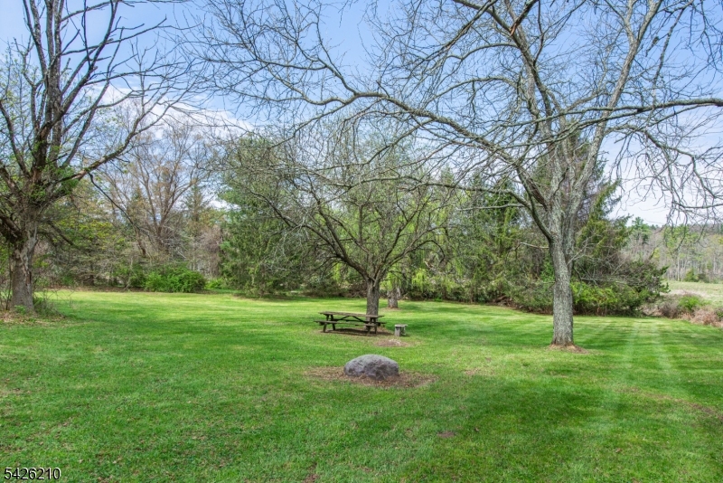 image 31
