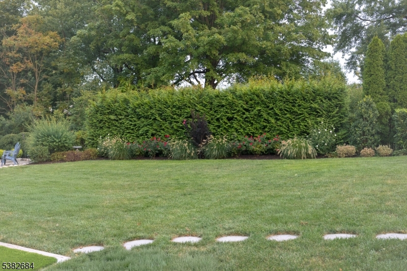 image29