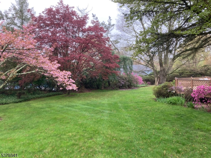 image28