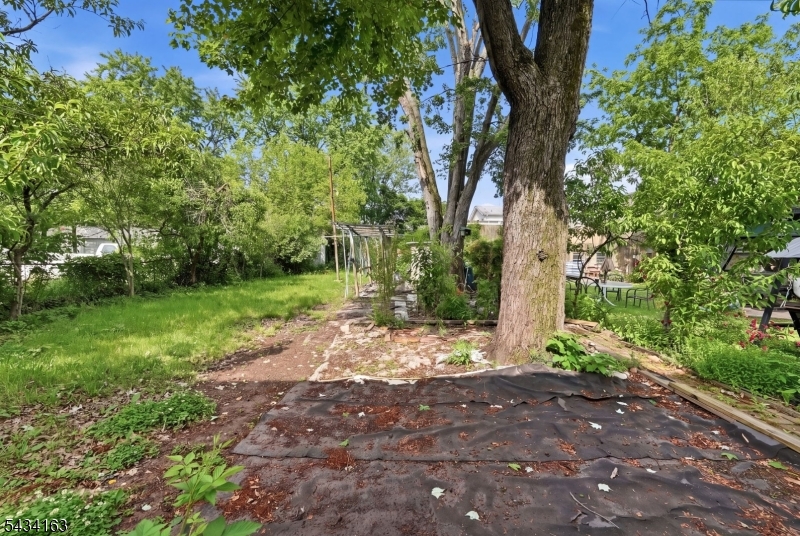 image15